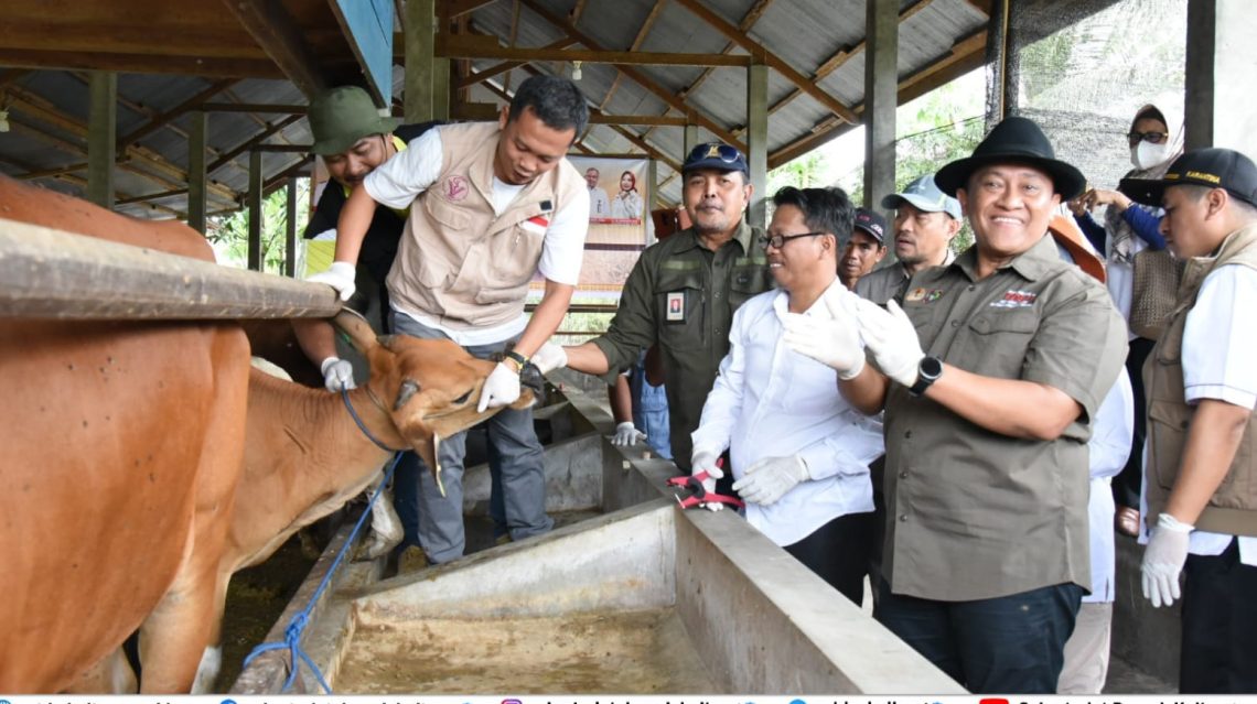 Wakil Gubernur Kalimantan Tengah H. Edy Pratowo di sela - sela acara Kick Off Vaksinasi Penyakit Mulut dan Kuku yang digelar secara virtual pada Sabtu (28/1/2023). Foto : Ist/mmc