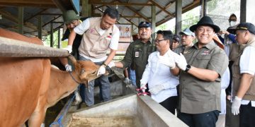 Kalteng Siapkan Ribuan Dosis Vaksin Dukung Pengendalian Penyakit Mulut dan Kuku Pada Sapi