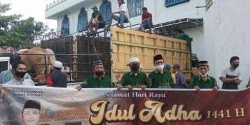 38 Ekor Sapi Kurban Pemprov Kalteng Disalurkan ke Kapuas