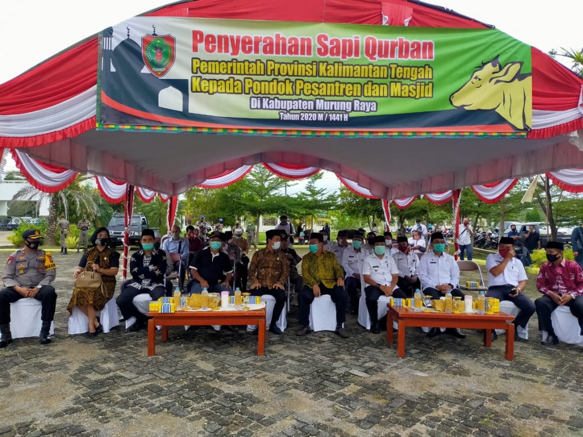 Gubernur Kalteng H. Sugianto Sabran, diwakili Kepala BKAD Provinsi Kalteng Drs. H. Nuryakin, M.Si menyerahkan sapi kurban di Kabupaten Murung Raya sebanyak 18 ekor, Rabu (28/7/2020) pagi. Foto : Humas Pemprov Kalteng.