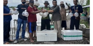 Pemprov Kalteng Serahkan Bantuan Benih Udang Windu kepada Pokdakan Tambak Sungai Ratik Kumai