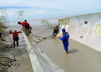 Polda Kalteng Turunkan Tim ke Lokasi Ditemukannya Serpihan Pesawat Terbang