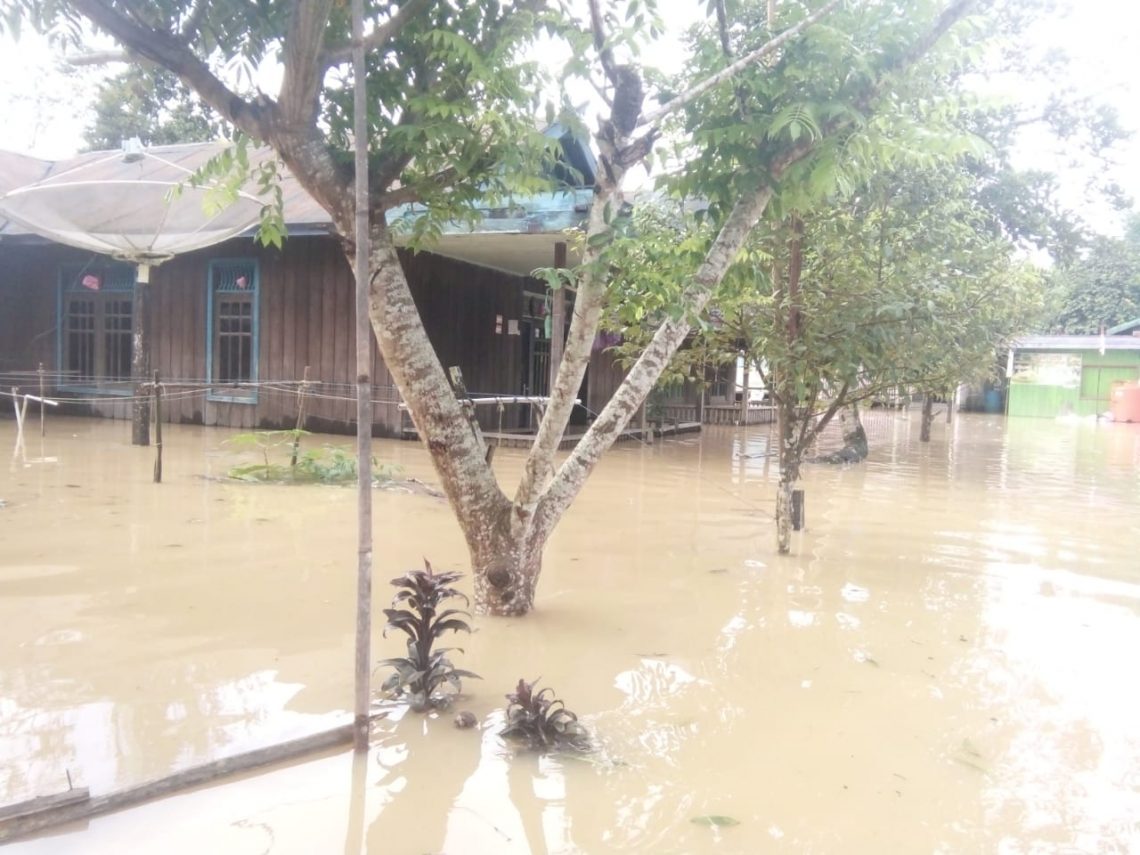 TERENDAM - Desa Bayat adalah salah satu dari 12 desa di Kabupaten Lamandau yang terendam banjir. Foto : Bayu.