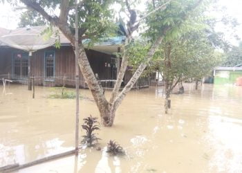 Banjir di Kabupaten Lamandau Meluas, 161 Rumah Warga Terendam