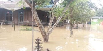 Banjir di Kabupaten Lamandau Meluas, 161 Rumah Warga Terendam