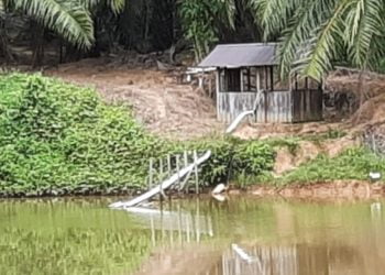 Akhirnya DLH Ambil Sempel Air di PT BCL