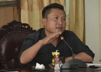 Rotan Sempat Menjadi Sektor Andalan Masyarakat dan Pemda