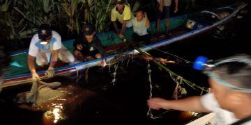 Tujuh  Korban Meninggal Dunia Ditemukan dalam Tabrakan di Sungai Sebangau