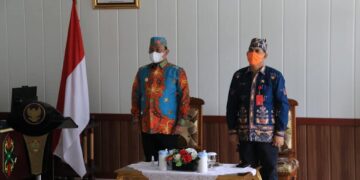 Wagub Kalteng Hadiri Peringatan Hari Jadi ke-19 Kabupaten Pulang Pisau Secara Virtual