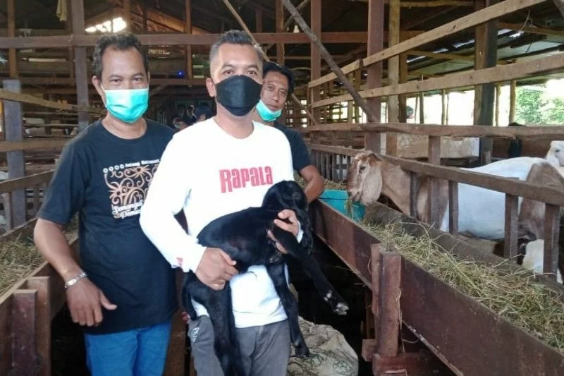 Ketua DPRD Seruyan Zuli Eko Prasetyo mengunjungi salah satu peternak kambing di Kecamatan Seruyan Hilir belum lama ini.