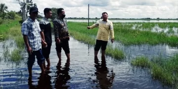 DPRD minta DKPP Seruyan Cari Solusi