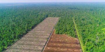 Cegah Karhutla, Dewan Seruyan Sarankan Langkah Ini