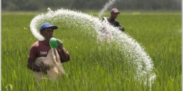 DPRD Seruyan Minta Disiapkan Pupuk untuk Petani