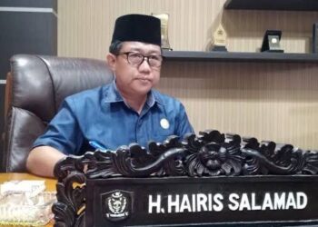 Legislator Dukung Penuh Pelayanan Kelistrikan Sampai ke Desa