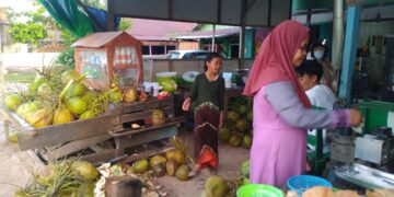 Selama Ramadhan, Pedagang Kelapa Muda di Nanga Bulik Raup Keuntungan