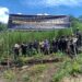 Polri Musnahkan 7 Haktare Ladang Ganja di Gunung Lauser dan Sita 592 Kg Ganja Kering