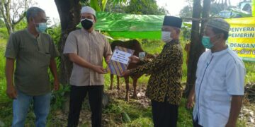 Rayakan Idul Adha 2021, Bupati Lamandau Serahkan Sapi Kurban