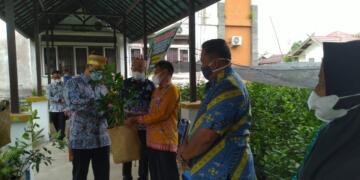 Lagi, Bupati Lamandau Serahkan 10 Ribu Bibit Buah-buahan ke Masyarakat