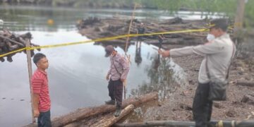 Diduga Disambar Buaya, Pekerja Bansaw Hilang Saat Menyelam