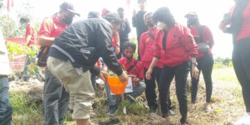 Ketua DPC PDI Perjuangan, Pudjirustaty Narang Tanam Sejumlah Pohon