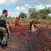 TNI dan Manggala Agni Padamkan Api di Desa Tanjung Taruna
