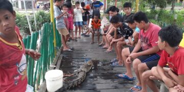 Warga Buntoi Geger Kemunculan Anak Buaya
