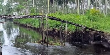 Warga Harapkan Jembatan di Desa Pudak Pandan Sari Segera Dibangun