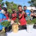 Wakapolda Kalteng Buka Pameran Bonsai