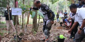 Kapolda Kalteng Tanam Pohon Di Tahura Lapak Jaru Gumas