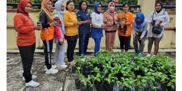 Dukung Program Pengendalian Inflasi, Dinas TPHP Berikan Bibit Cabe Bagi DWP Provinsi Kalteng
