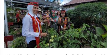 Optimalkan Pekarangan, Dinas TPHP Kalteng Lakukan Pendampingan Kebun TOGA PKK di Pulang Pisau