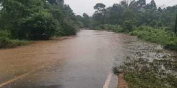 Diguyur Hujan Semalaman, Jalan Trans Kalimantan Terendam Air Setinggi 70 Cm
