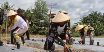 Dukung Ketahanan Pangan, Kapolda Kalteng Tanam Sayuran di Lamandau
