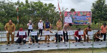 Ini Harapan Kapolres Pulang Pisau tentang Gerakan Penanaman Seribu Cabe (Sakuyang Lombok)