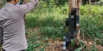 Diduga Putus Cinta, Warga Desa Mukti Manunggal Ditemukan Tewas Gantung Diri di Pohon