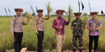 Wakapolda Kalteng Tinjau Food Estate Dadahup