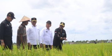 Kunker Food Estate Kalteng, Mentan SYL Puas Pertanaman dan Peningkatan Luas Tanam Padi