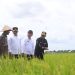 Kunker Food Estate Kalteng, Mentan SYL Puas Pertanaman dan Peningkatan Luas Tanam Padi