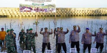 Wakapolda Kalteng dan Danrem Tanam Seribu Pohon Bakau di Pantai Ujung Pandaran