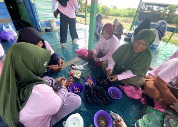 Srikandi Ganjar Belajar Membuat Abon Ikan Gabus Bareng Perempuan Milenial di Kapuas