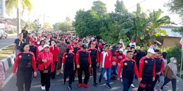 Digelar Dispora, Ribuan Warga Pulpis Antusias Ikuti Jalan Sehat