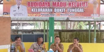 Budidaya Madu Kelulut Menjanjikan Tingkatkan Ekonomi Warga Palangka Raya