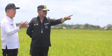 Bupati Kapuas Bersama Menteri Pertanian Tinjau Lahan Food Estate Dadahup