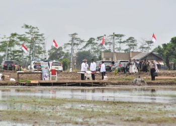 Presiden Jokowi Membuka Perdana Program Food Estate