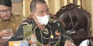 Pabrik Kelapa Sawit Peluang Menjanjikan Bisa Digarap Pemerintah Daerah