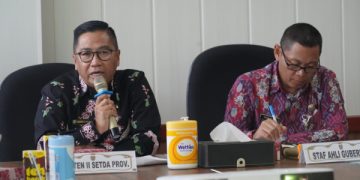 Pemprov Kalteng Lakukan Audiensi bersama Tim Kemenko Marves
