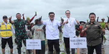 Perkuat Produksi, Mentan dan Wagub Kalteng Kawal Gerakan Tanam di Food Estate Kapuas