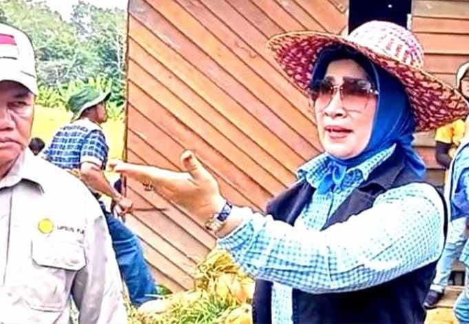 Anggota DPRD Barito Utara, Netty Herawaty