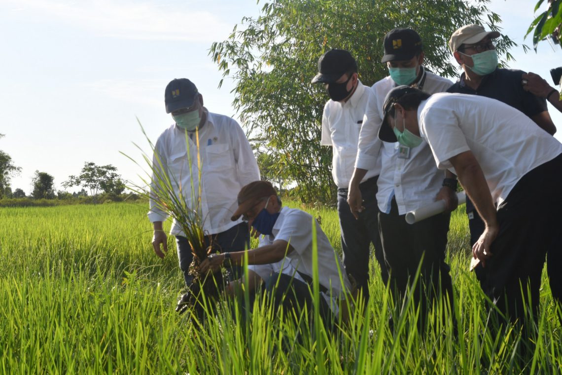 Menteri PUPR Mochamad Basoeki Hadimoeljono meninjau lokasi food estate untuk memastikan kebenarannya di Dadahup Kapuas, Sabtu, (13/6/2020). Foto : Ist