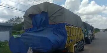 PT GPB Asal Tumbang Manggu Diduga Angkut Kayu Log Lebihi Kapasitas